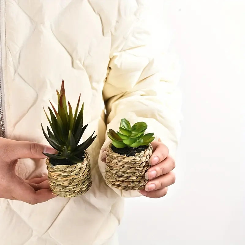 Artificial Succulents Set - Potted Plants, Indoor/Outdoor Decor