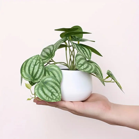 Plante artificielle à feuilles vertes – Décoration de bureau et d'étagère pour la maison, le bureau et la salle à manger