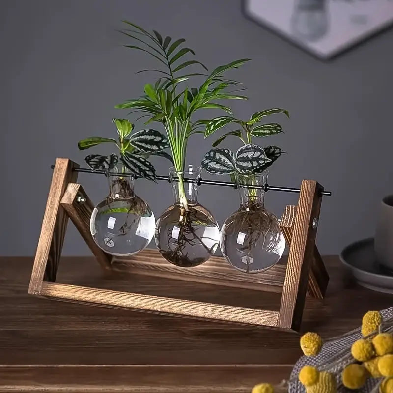 1pc Elegant Hydroponic Glass Vase with Wooden Frame - 13.46cm