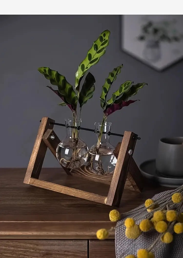 1pc Elegant Hydroponic Glass Vase with Wooden Frame - 13.46cm