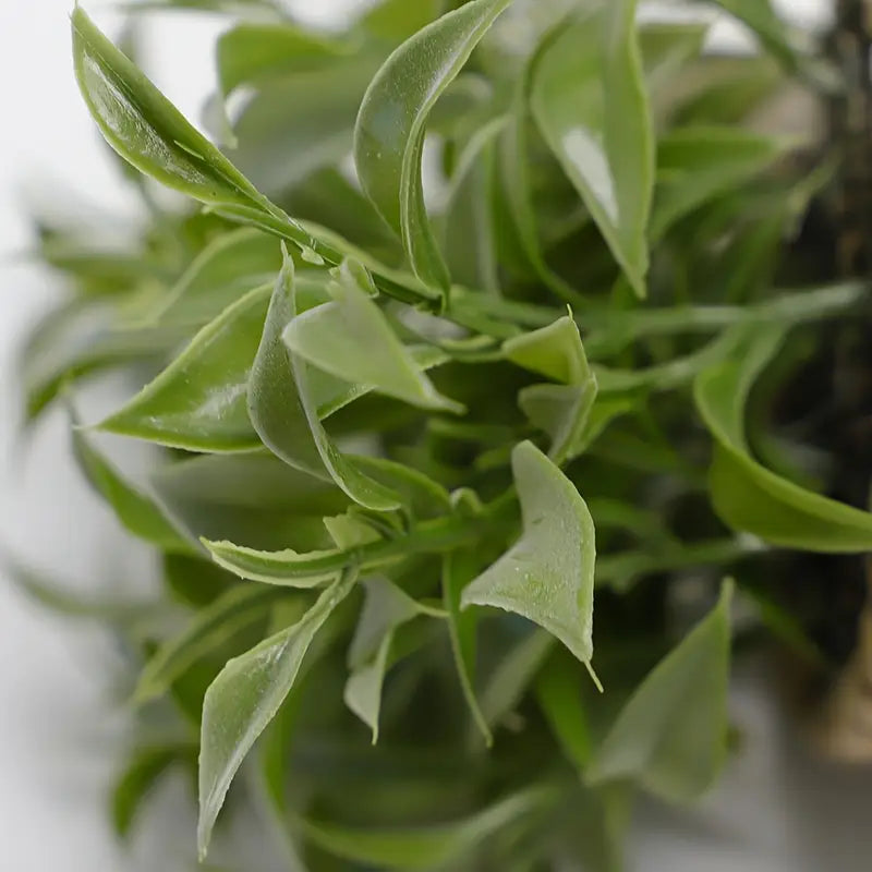 Mini plante artificielle en pot – Décoration d'intérieur et d'extérieur en corde tressée
