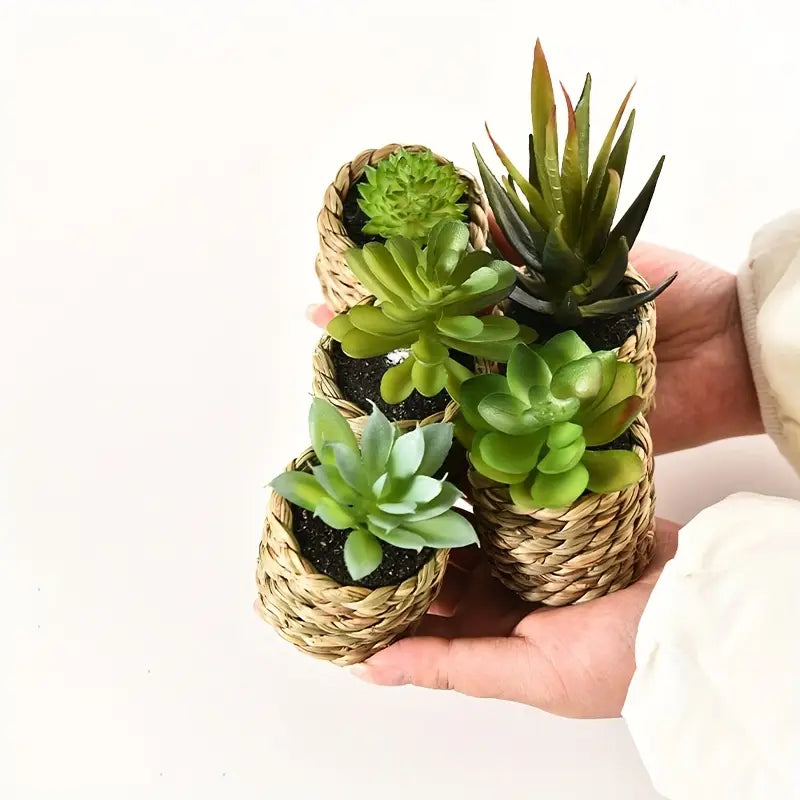 Artificial Succulents Set - Potted Plants, Indoor/Outdoor Decor