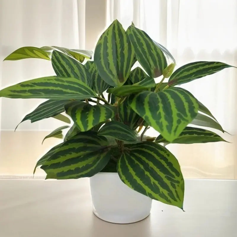 Lot de 4 mini plantes artificielles en pots – Décoration végétale pour bureau, chambre et salle de bain