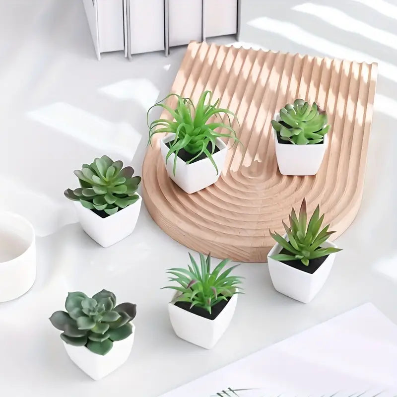 Lot de 6 mini plantes succulentes artificielles – Petit pot de verdure pour bureau et bibliothèque d'intérieur