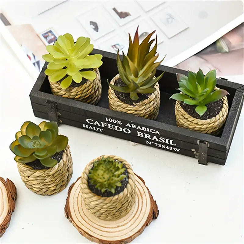 Artificial Succulents Set - Potted Plants, Indoor/Outdoor Decor
