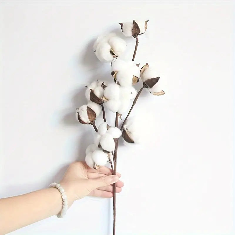 Bouquet de branches de coton artificiel – 10 têtes de coton éternel pour la décoration de la maison, des mariages et des fêtes