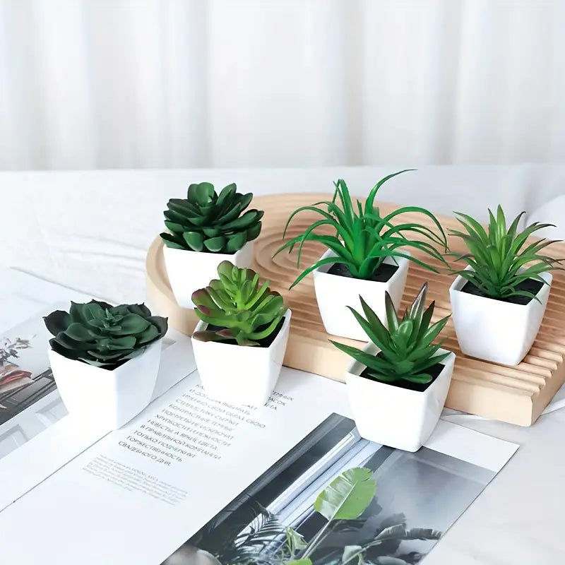Lot de 6 mini plantes succulentes artificielles – Petit pot de verdure pour bureau et bibliothèque d'intérieur