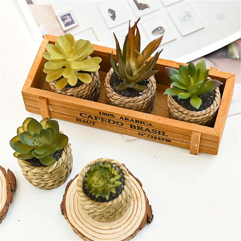Artificial Succulents Set - Potted Plants, Indoor/Outdoor Decor