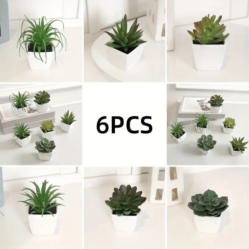 Lot de 6 mini plantes succulentes artificielles – Petit pot de verdure pour bureau et bibliothèque d'intérieur