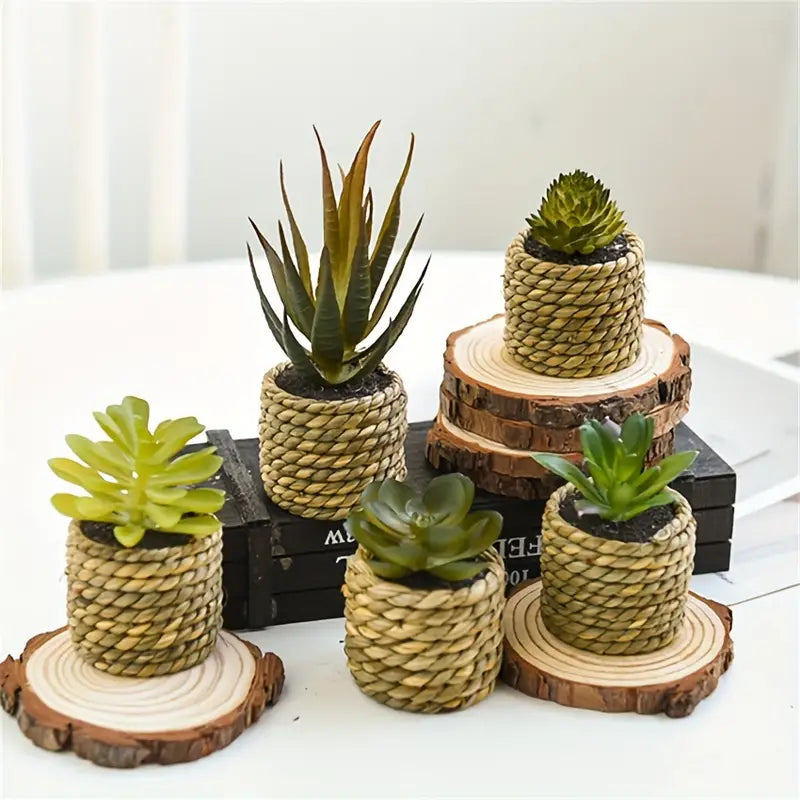 Artificial Succulents Set - Potted Plants, Indoor/Outdoor Decor
