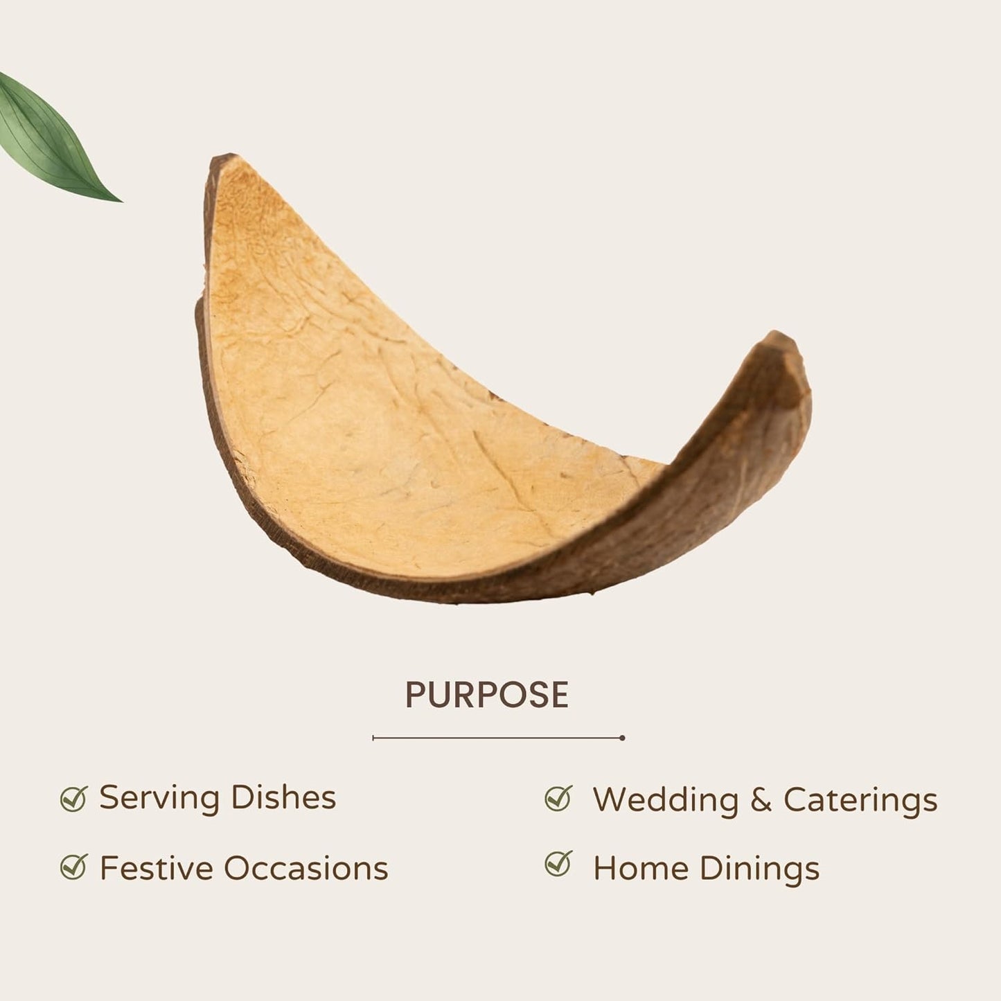 Coconut Shell Serving Boats – Serveware – Natural Coconut – Handcrafted Eco-Friendly – Set of 10