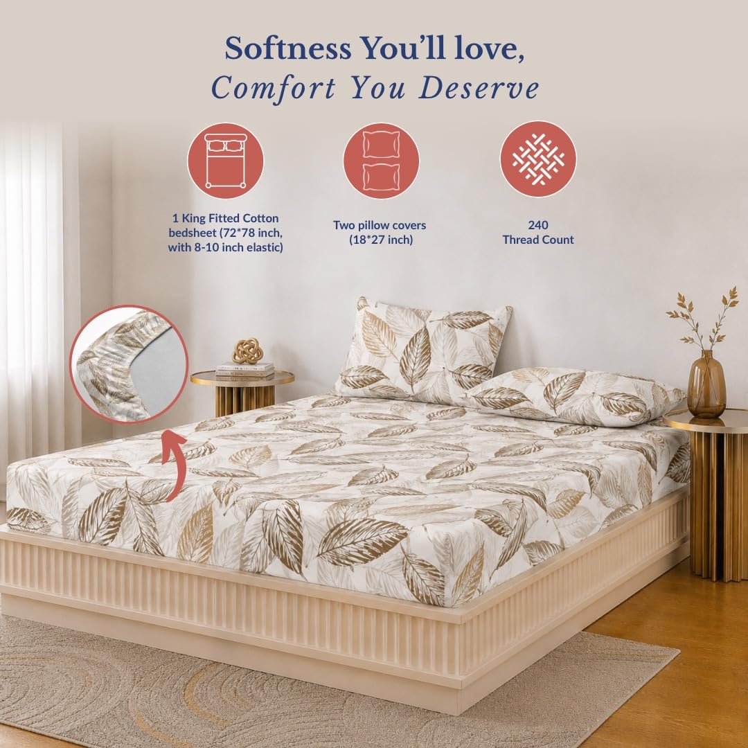 Bedsheet | Cotton Elastic Fitted | Set, 72x78 Inch | 240 TC