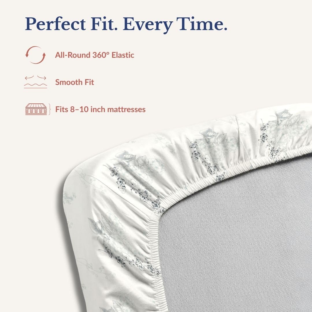 Bedsheet | 240TC Cotton Elastic Fitted | King Size, 2 Pillow Shams