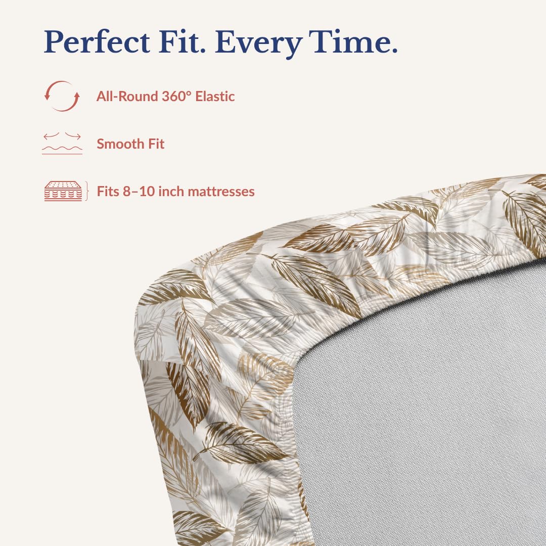 Bedsheet | Cotton Elastic Fitted | Set, 72x78 Inch | 240 TC