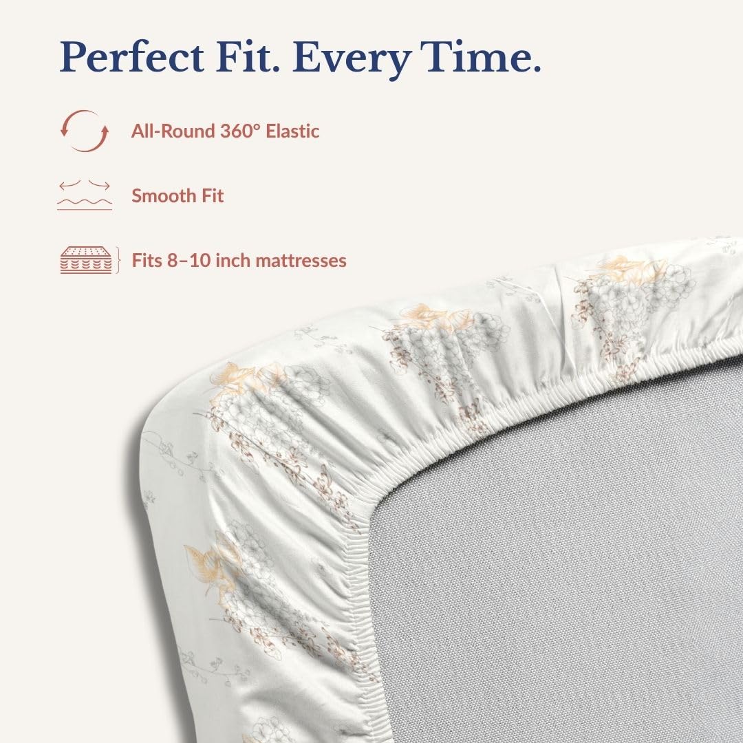 Bedsheet | Pure Cotton Elastic Fitted | 72x78 Inch, 3-Piece