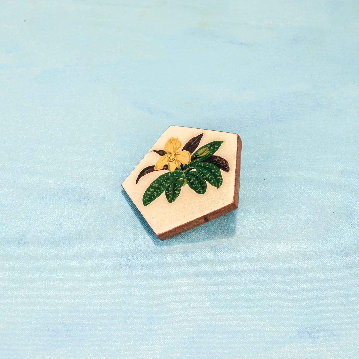 Penta Bloom Coaster Set – Tabletop Coasters – Acacia Wood & Enamel – Pentagon Bloom Design – Set of 4