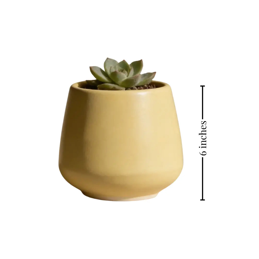 Stoneware Planter - Small Pastel Yellow