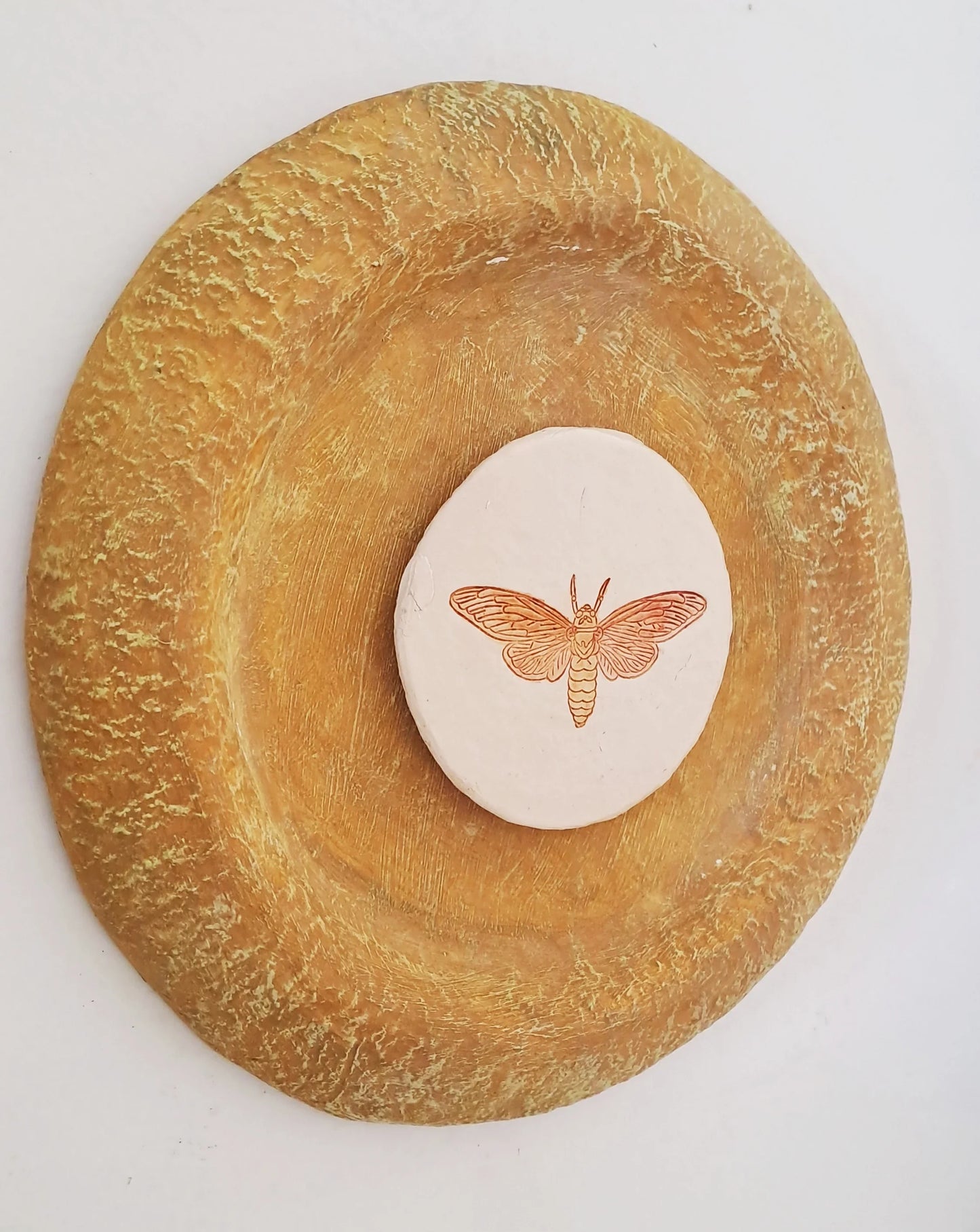Papier-mache Wall Plates-Moth