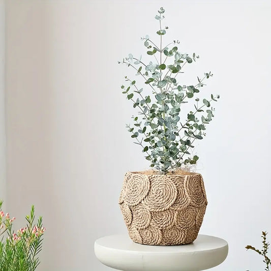 Rustic Cement Planter - Woven Design, Drainage, Indoor/Outdoor