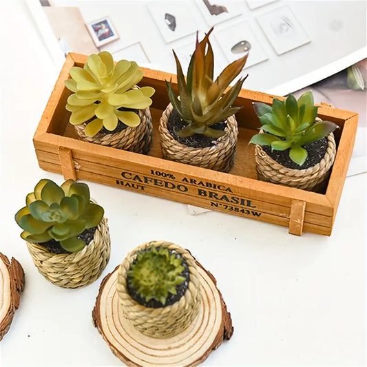 Artificial Succulents Set - Potted Plants, Indoor/Outdoor Decor