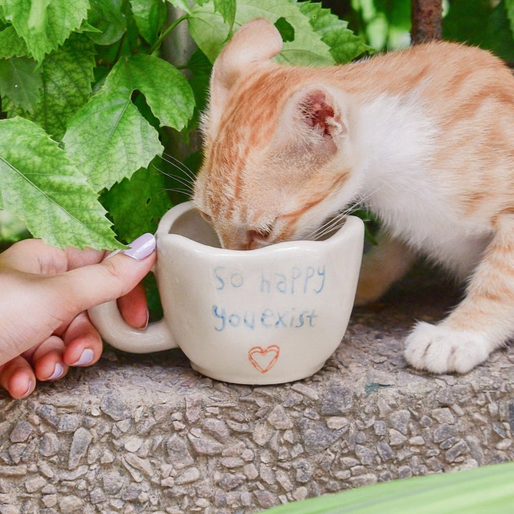 Mug | Ceramic Hand-painted Happy | Set of 2