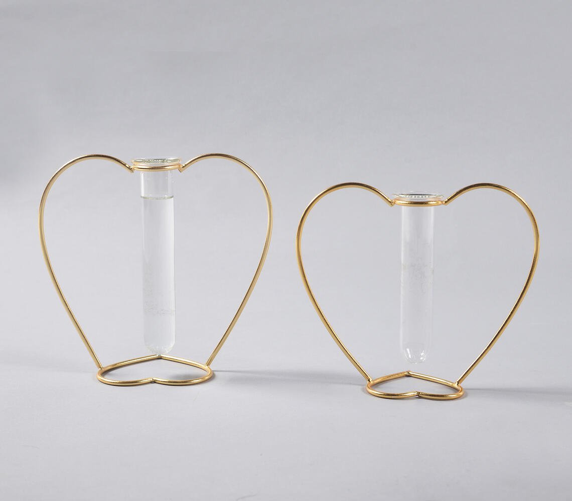 Heart-Shaped Metal & Glass Test Tube Planter Vases (set of 2)