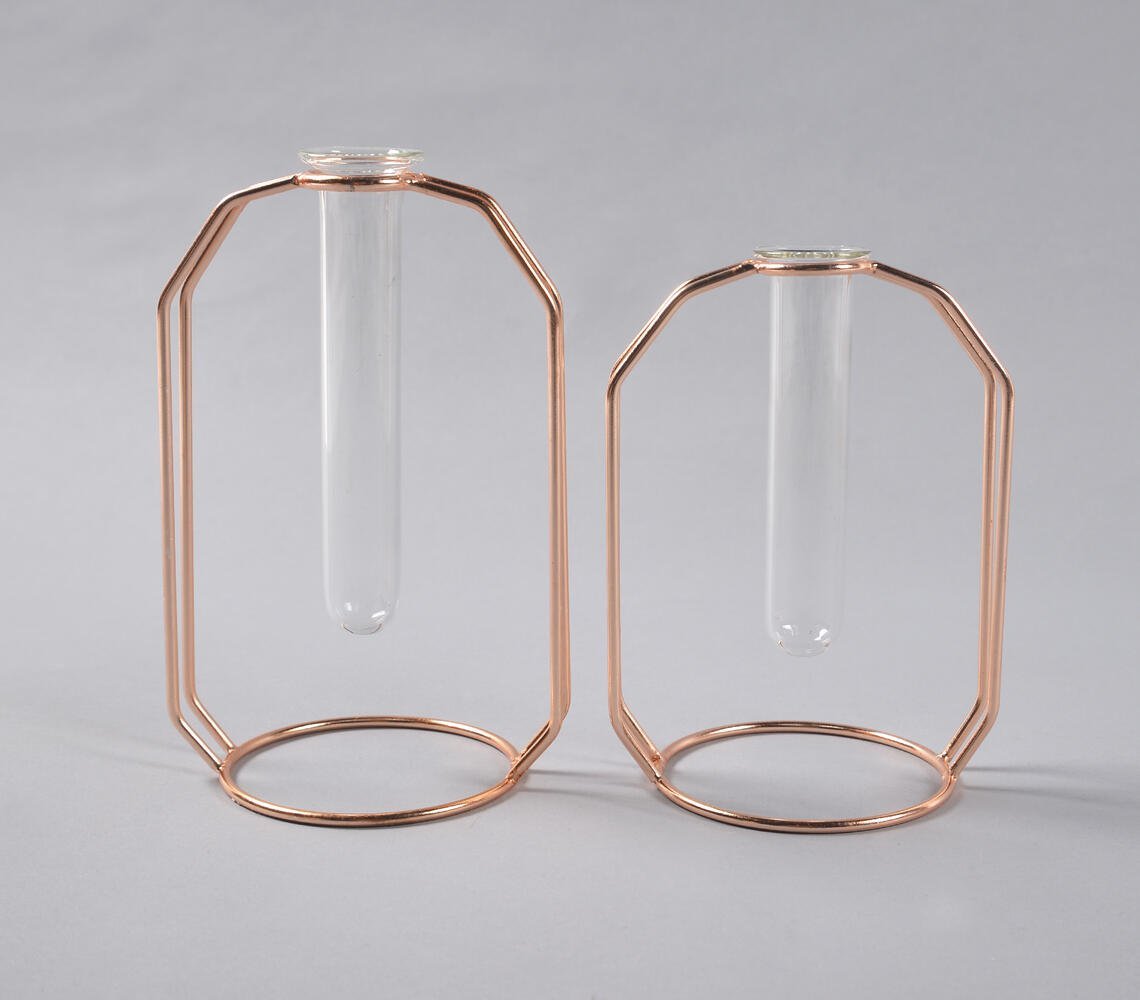 Rose-Gold Metal & Glass Test Tube Planter Vases (set of 2)