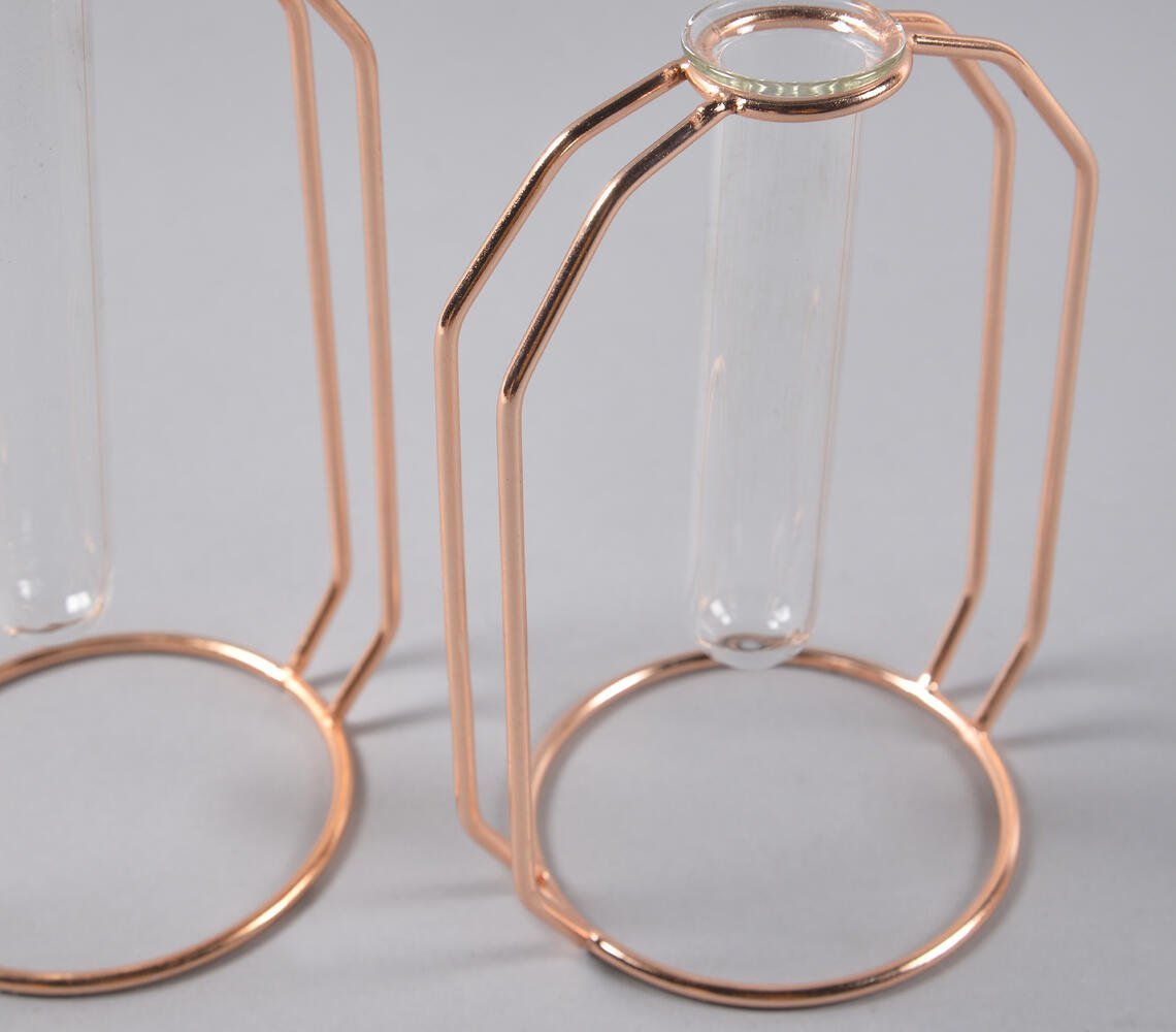 Rose-Gold Metal & Glass Test Tube Planter Vases (set of 2)