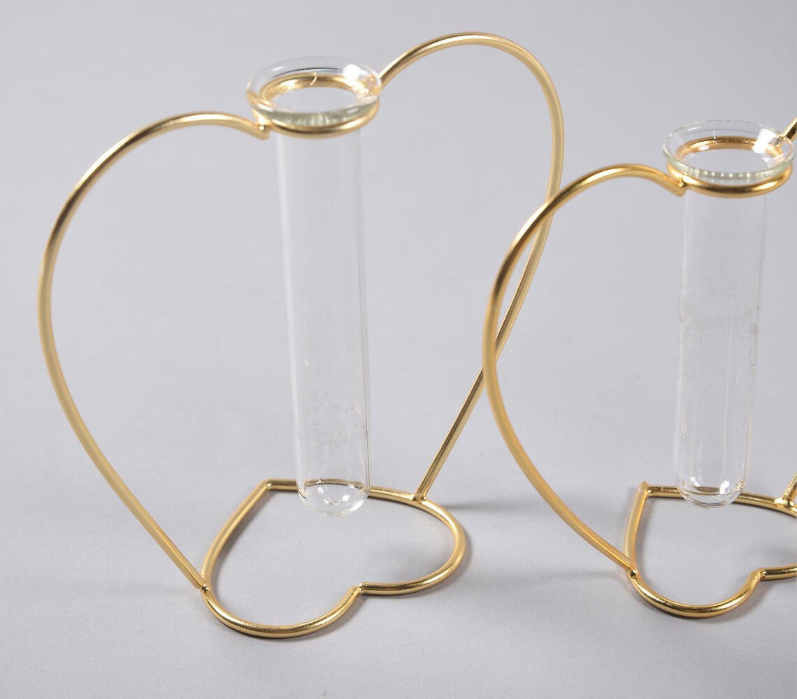 Heart-Shaped Metal & Glass Test Tube Planter Vases (set of 2)