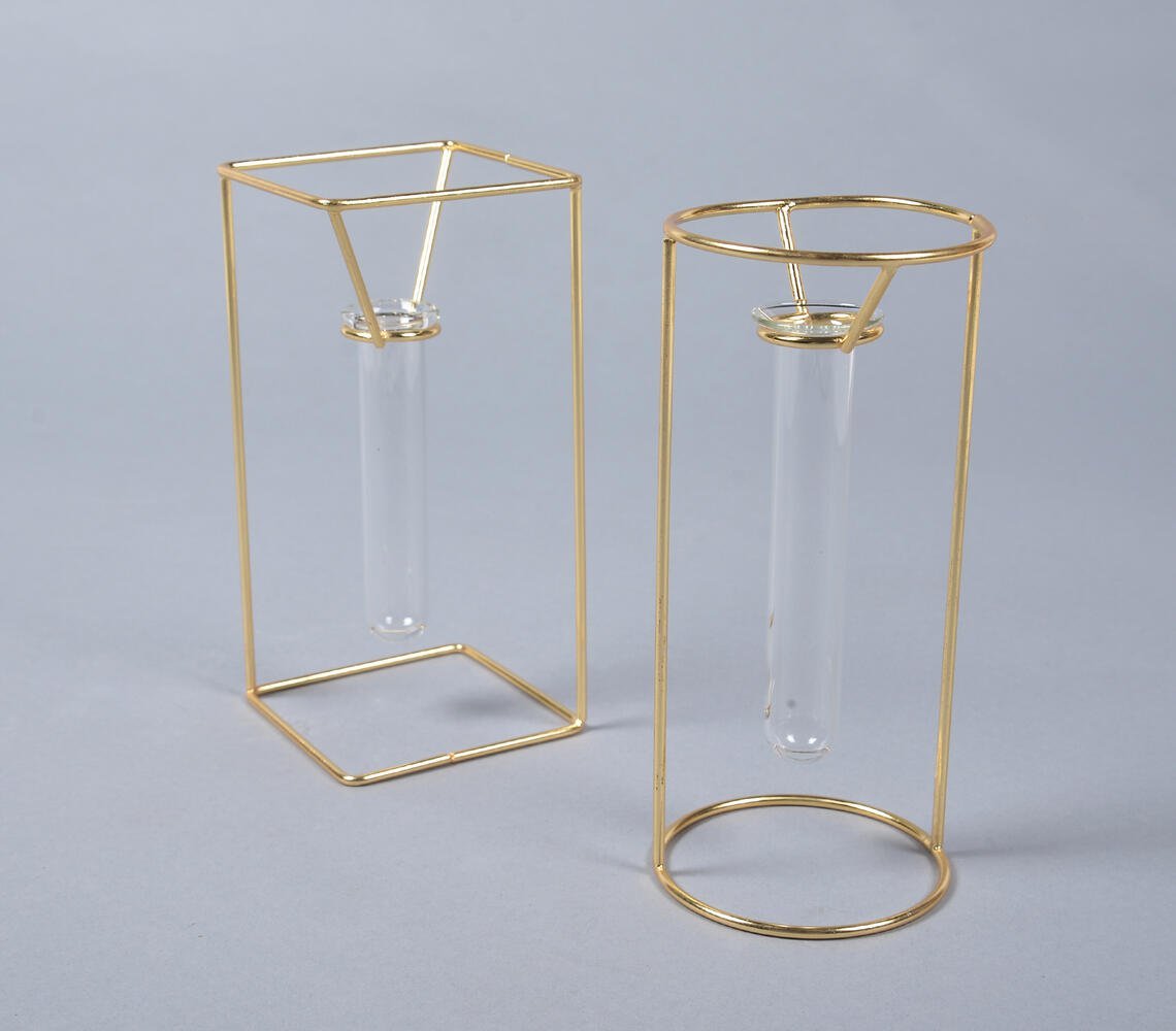 Minimal Metal & Glass Test tube Planter Vases (set of 2)