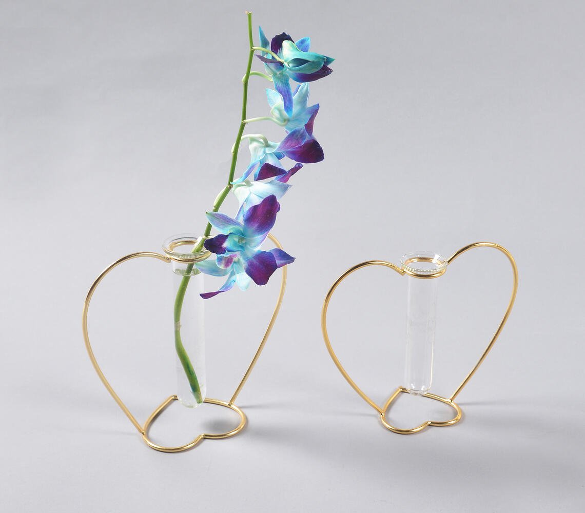 Heart-Shaped Metal & Glass Test Tube Planter Vases (set of 2)