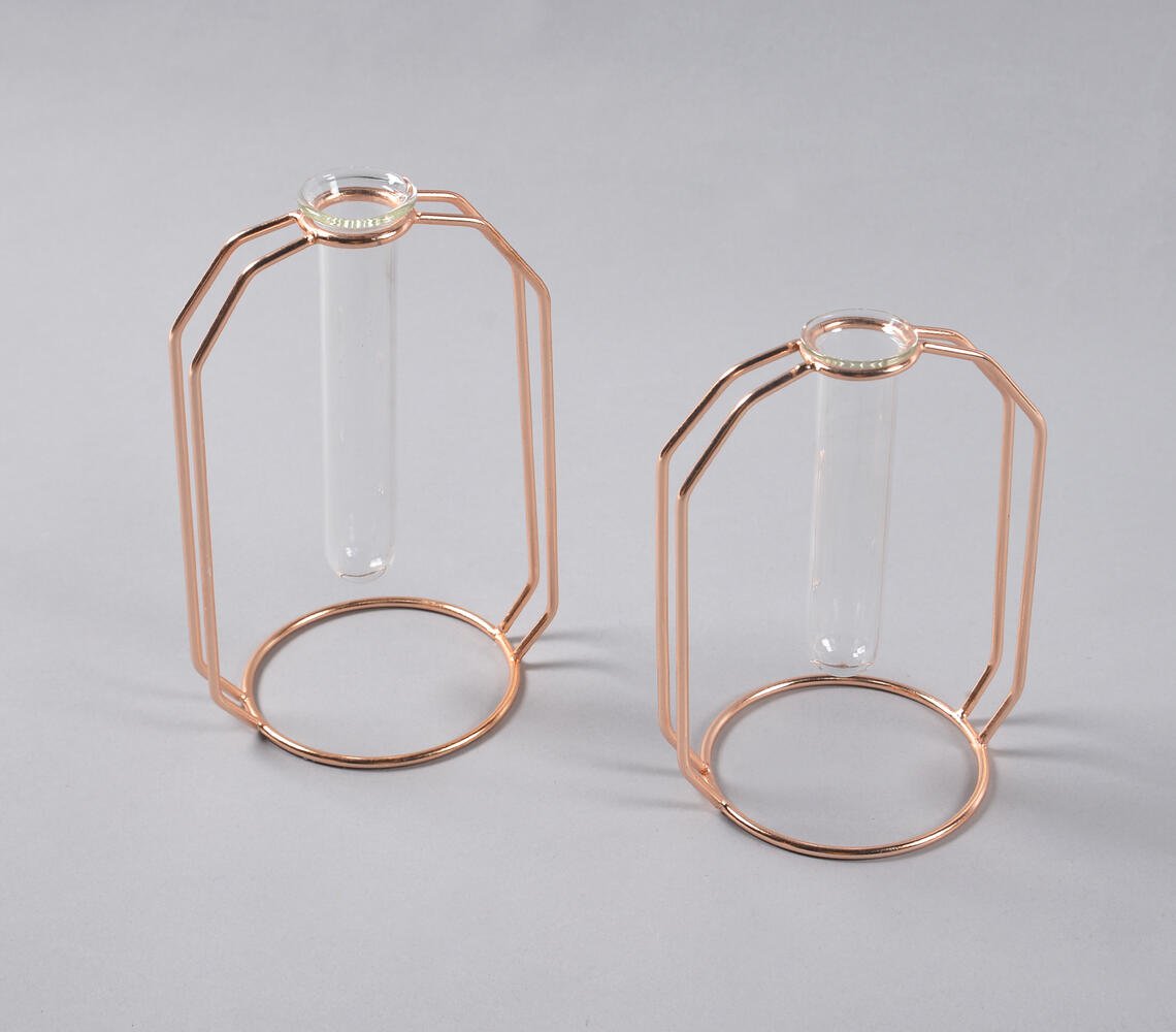 Rose-Gold Metal & Glass Test Tube Planter Vases (set of 2)