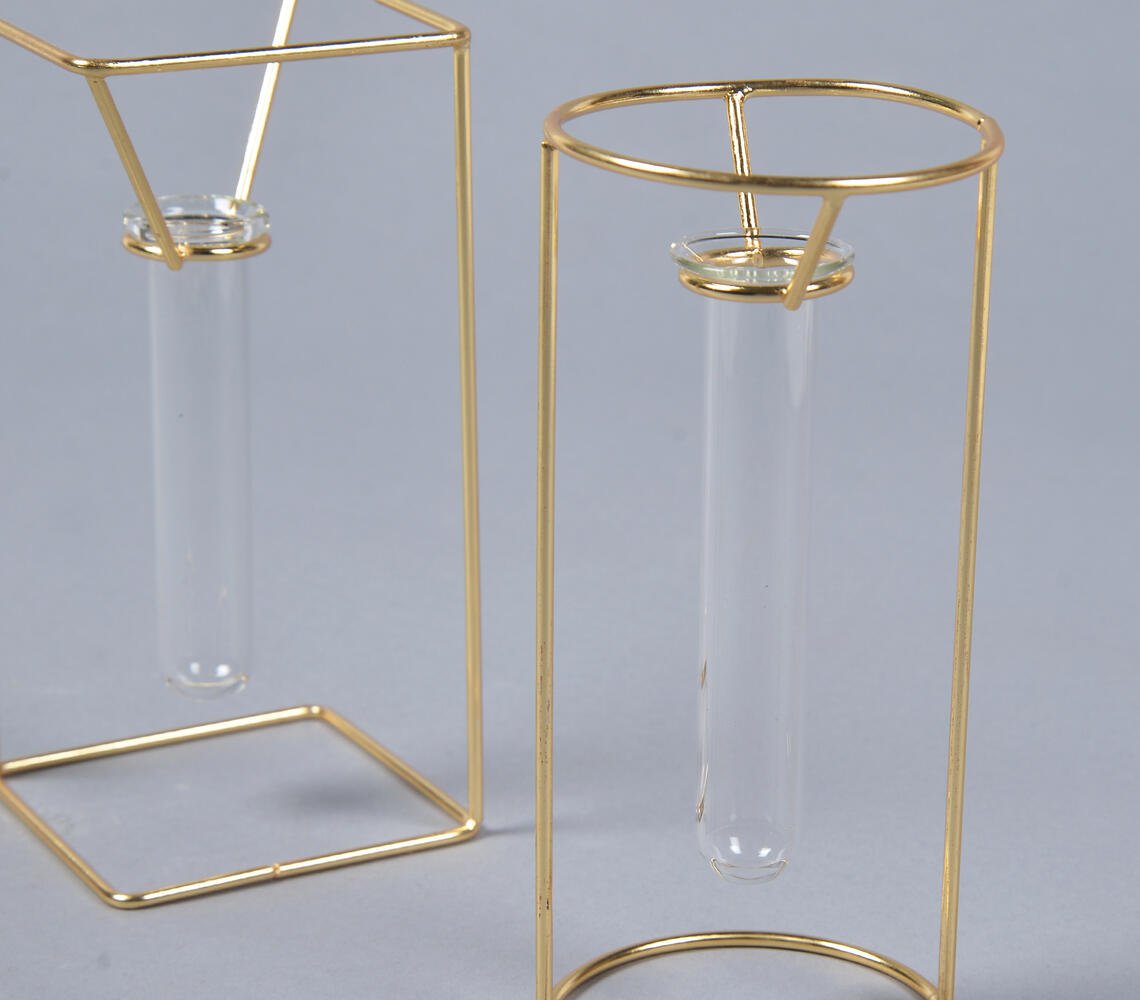 Minimal Metal & Glass Test tube Planter Vases (set of 2)