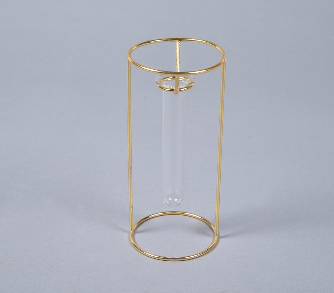 Minimal Metal & Glass Test tube Planter Vases (set of 2)