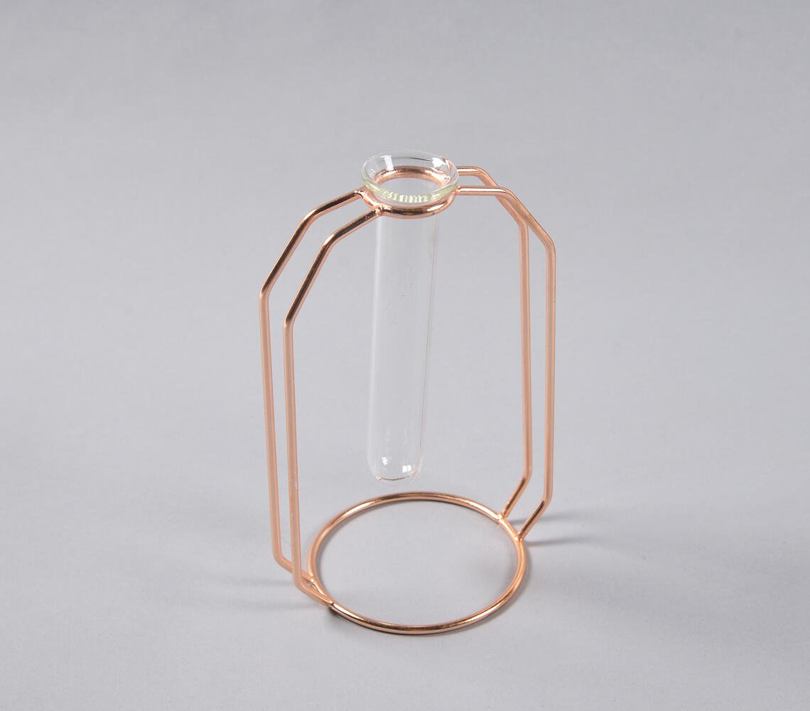 Rose-Gold Metal & Glass Test Tube Planter Vases (set of 2)